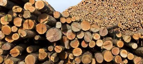 環保，使用優良木材
